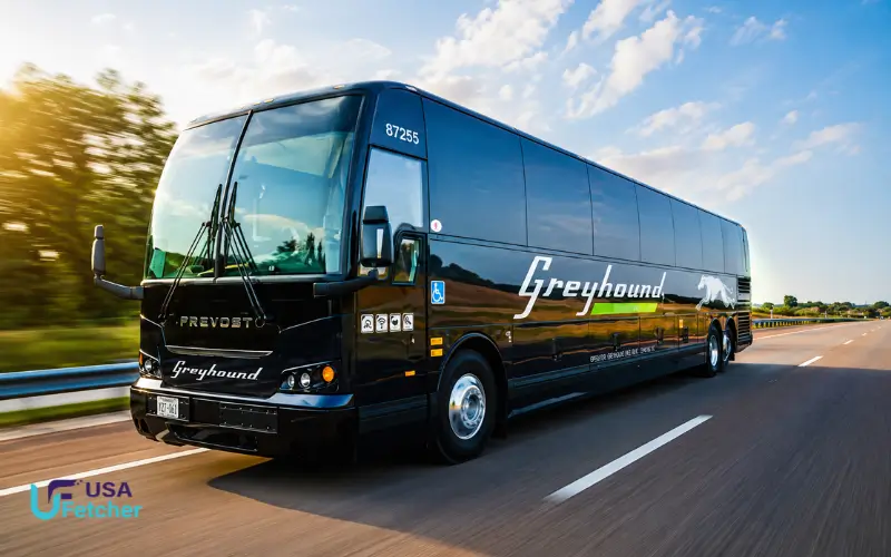 Greyhound bus travel in Texas and the U.S. 