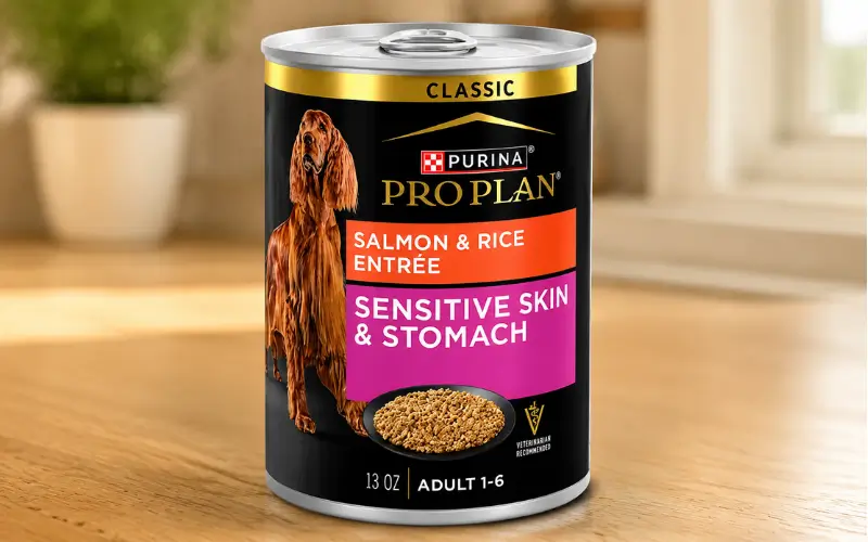 Purina Pro Plan Sensitive Skin & Stomach Salmon & Rice Formula for Best Dog Foods for Sensitive Stomachs 
