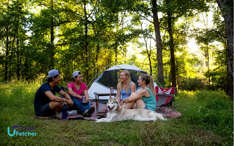 Camping at Caddo Lake State Park