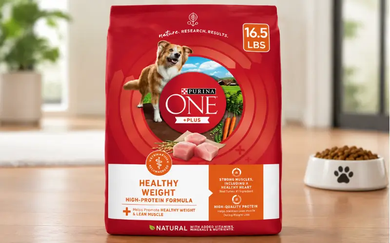 Purina ONE +Plus Digestive Health Formula for Best Dog Foods for Sensitive Stomachs 