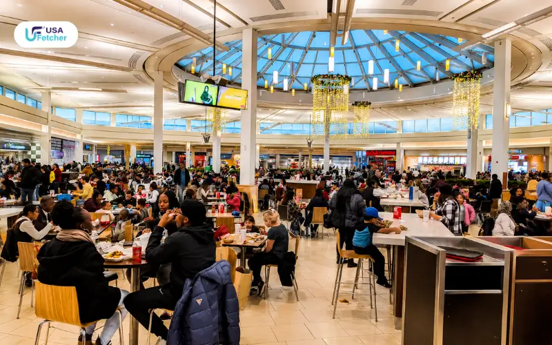 Dining at Burlington Mall Shoppers