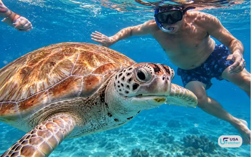 Barbados