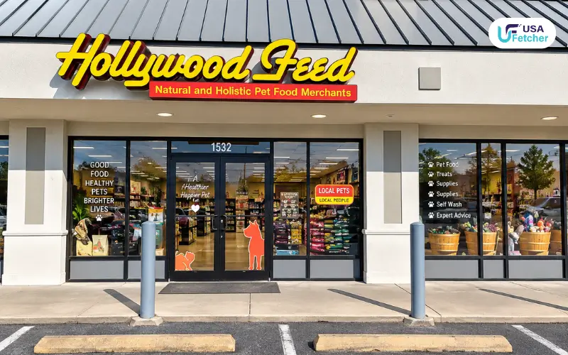 Hollywood Feed