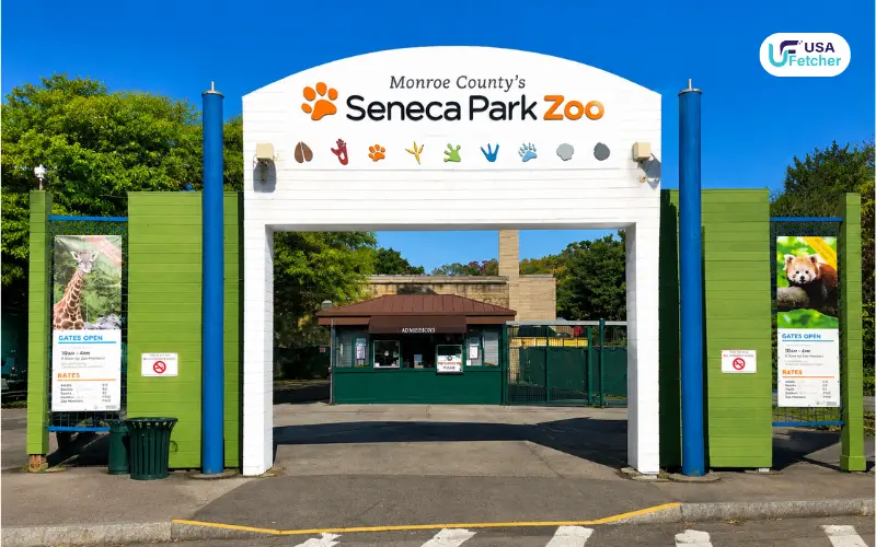 Giraffe Calf Euthanized Seneca Park Zoo