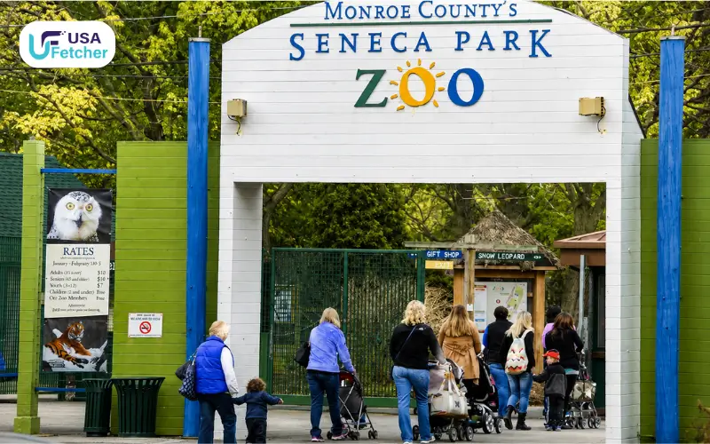 Giraffe Calf Euthanized Seneca Park Zoo