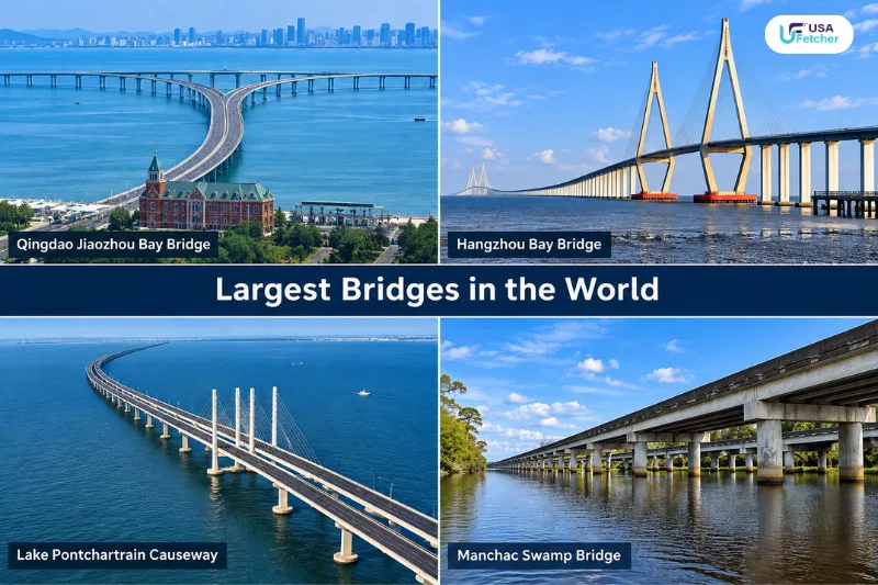 Largest Bridges in the World collage